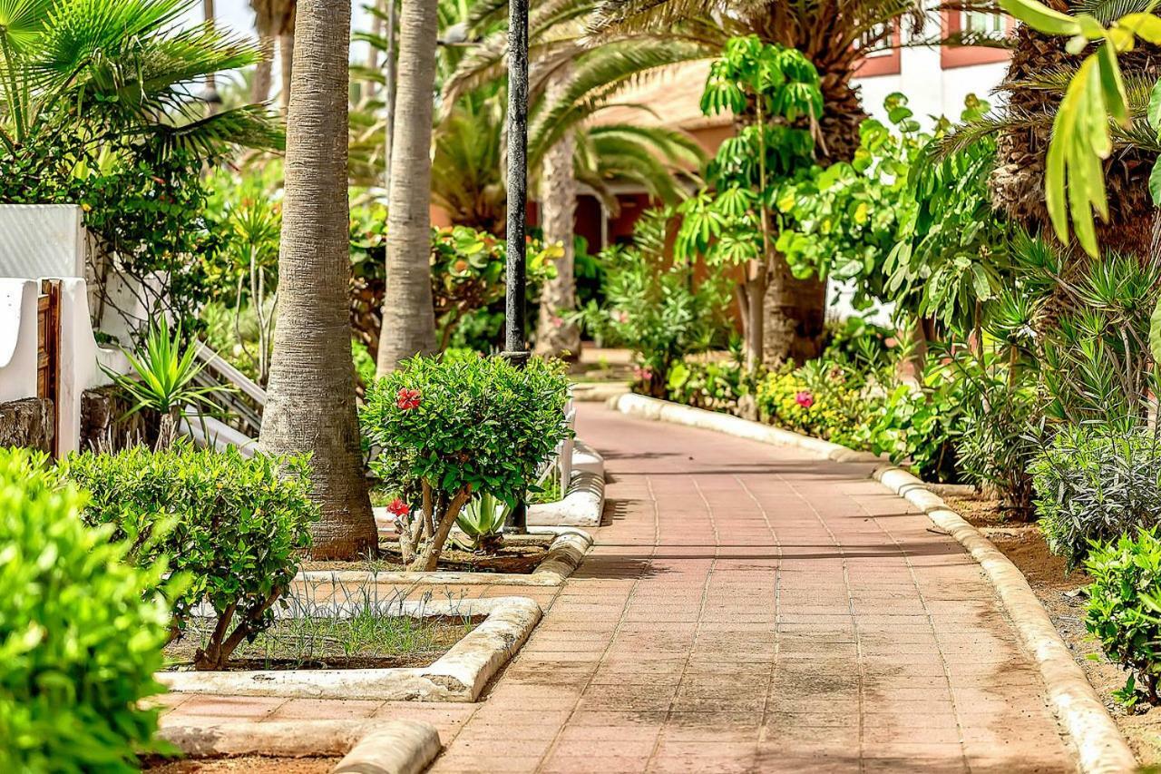 Apartment Parque Santiago 2 Penthouse Playa de las Americas (Tenerife)