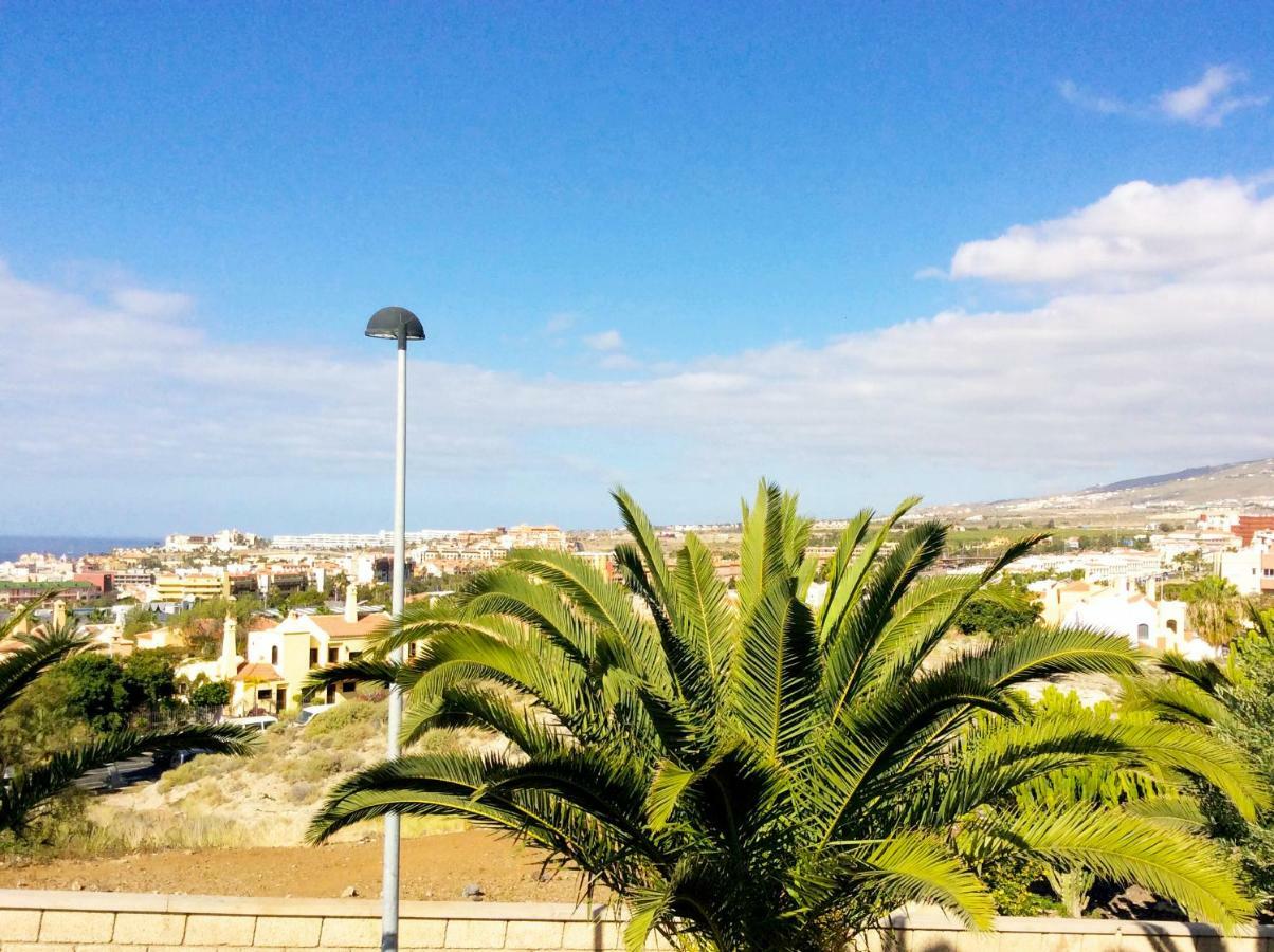 Canarias 310