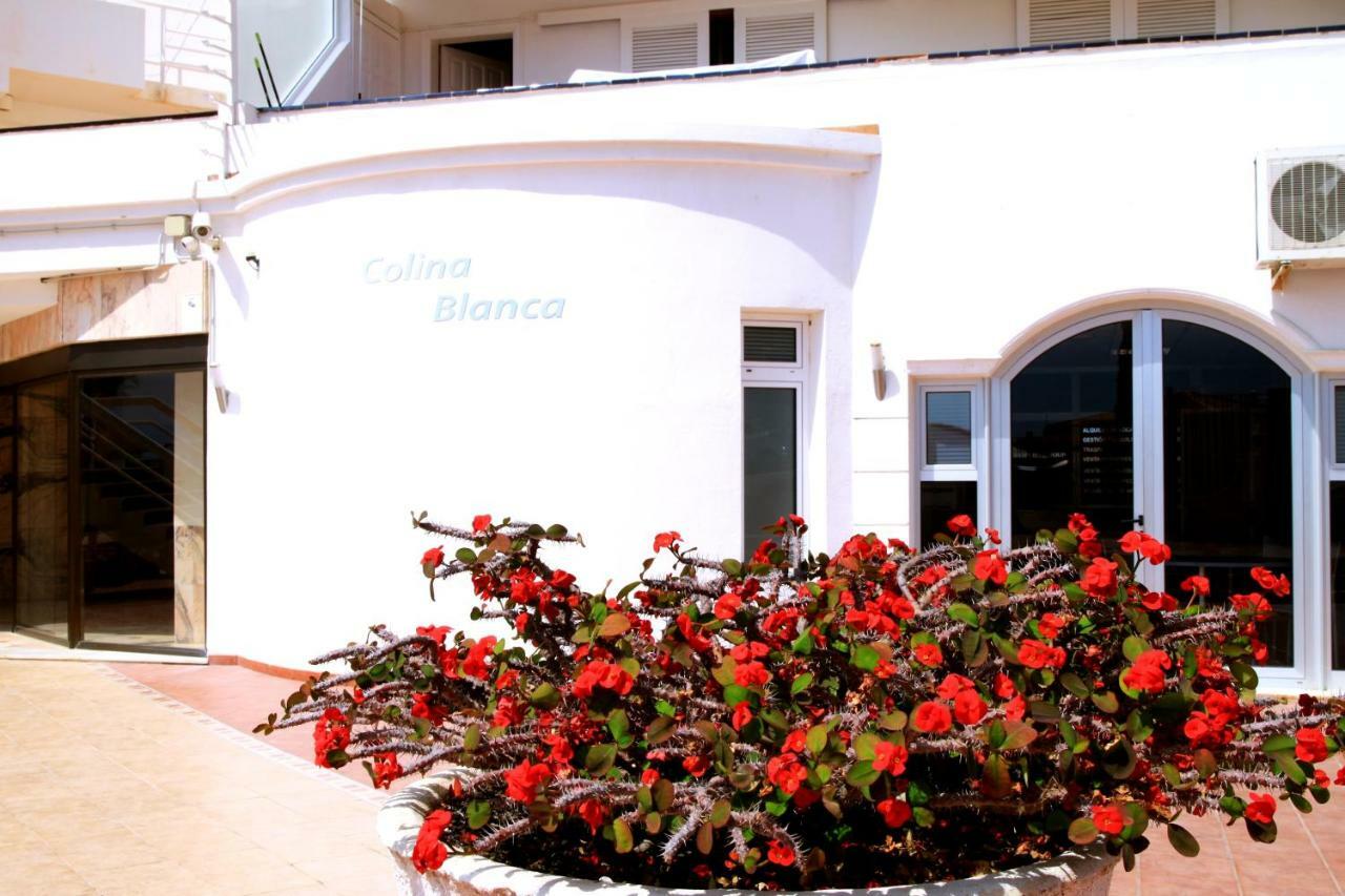 Aviator Tenerife 2 Apartamento *