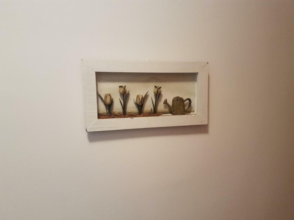 Apartamento Playa San Marcos *