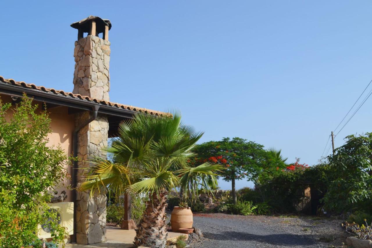 Casa Del Artista * Arona (Tenerife)