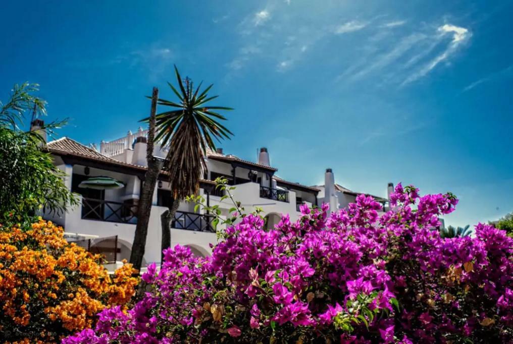 Apartment In Playa De Americas 1