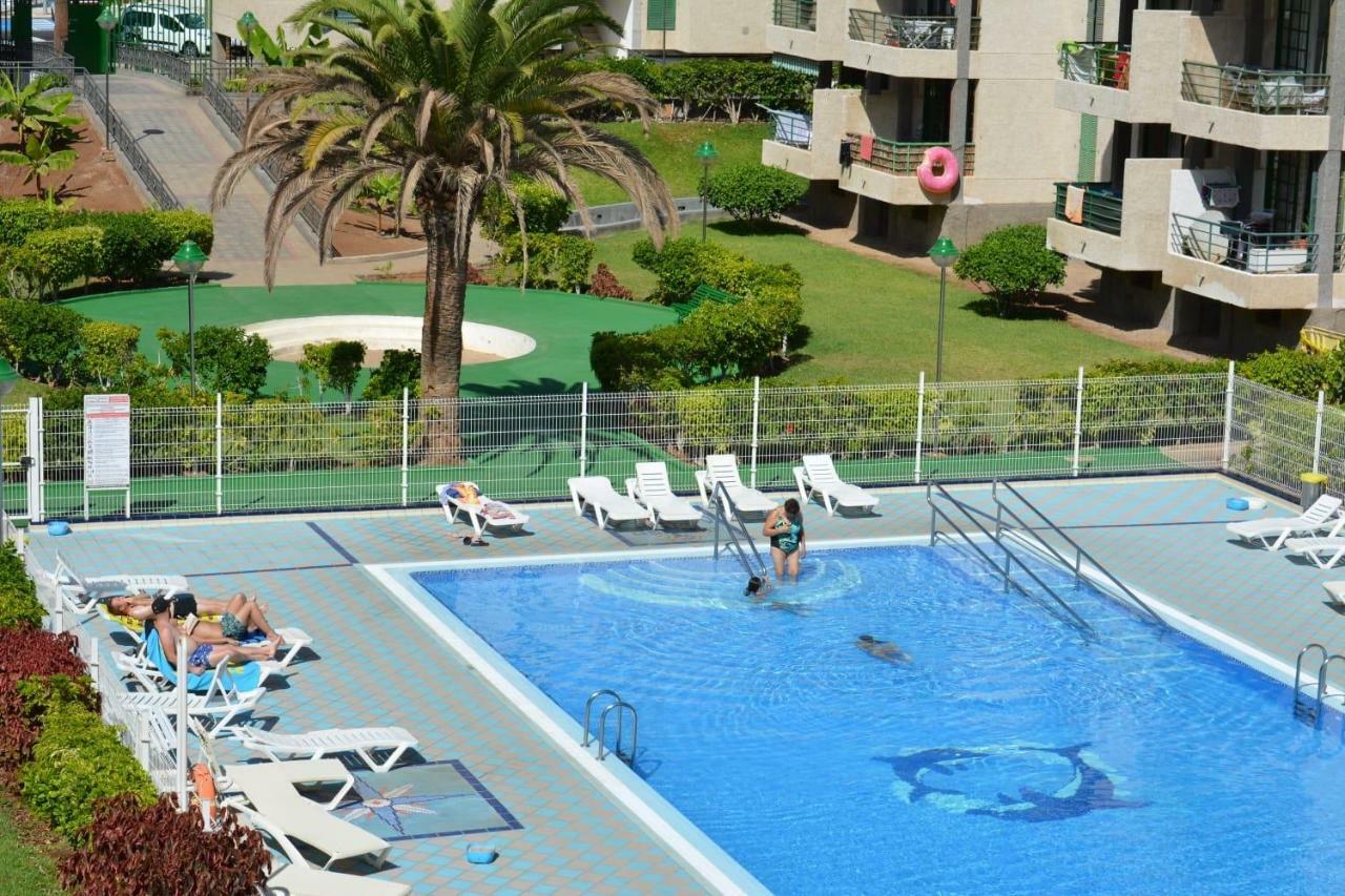 Family Apartamento