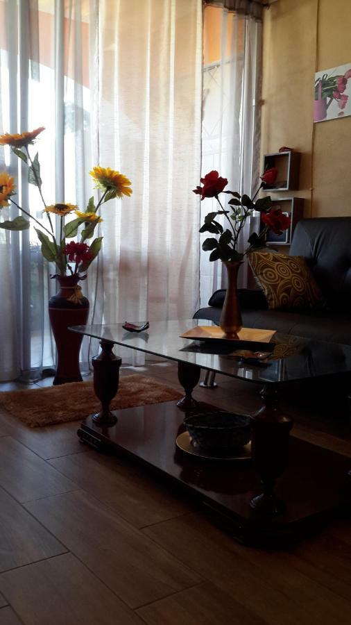 Romantica Palmeras Apartment