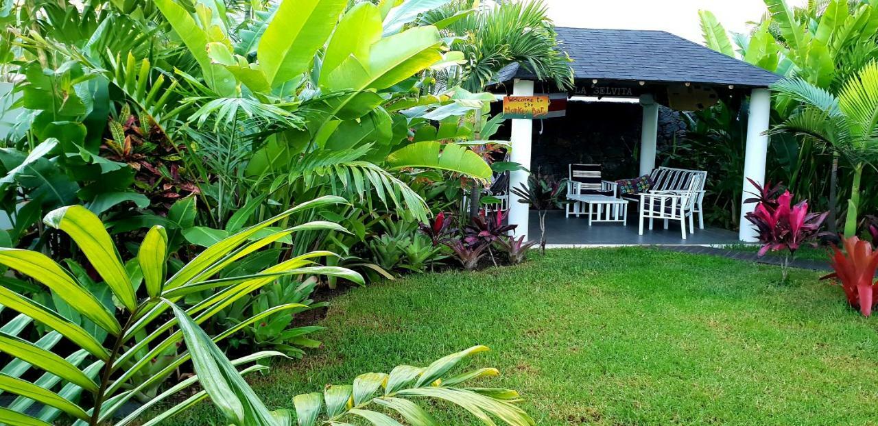 La Selvita Homestay Bajamar (La Laguna)