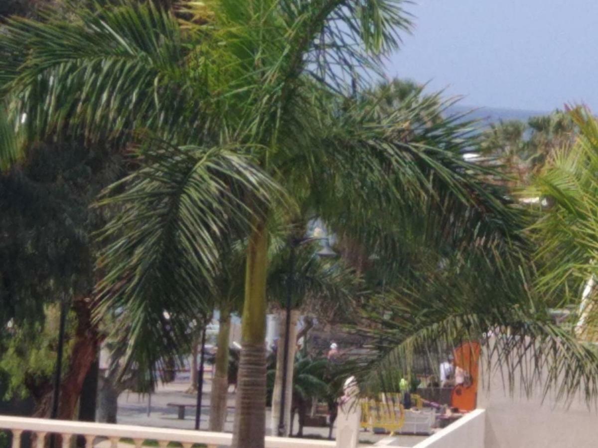 Crisol Del Sur
