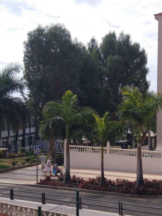 Crisol Del Sur Arona (Tenerife)