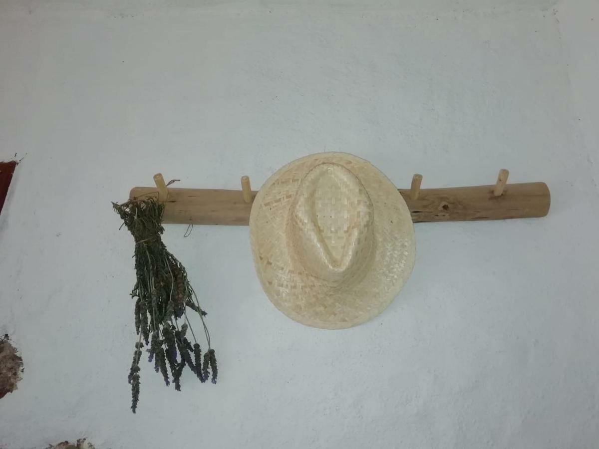 Casa Hernandez *