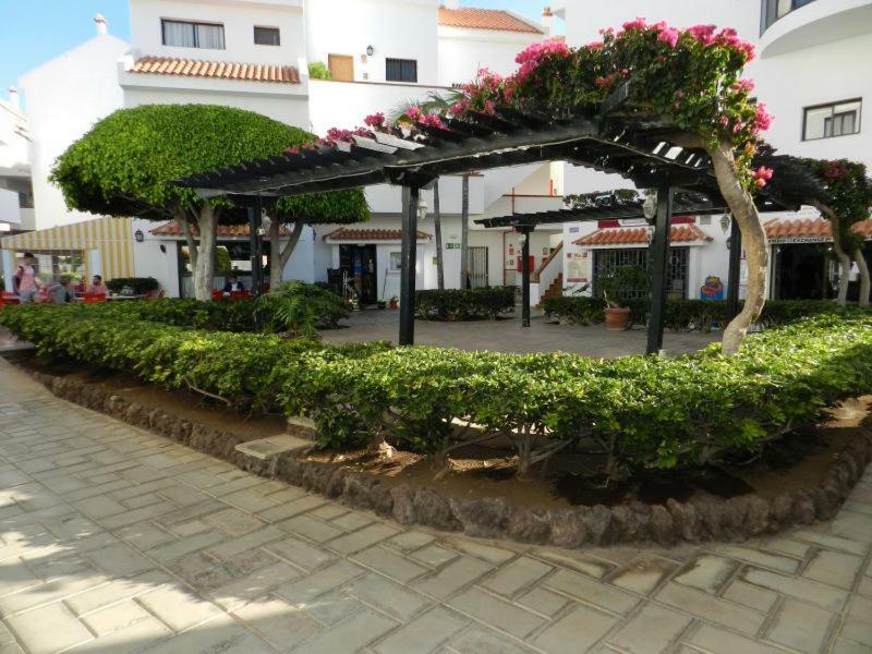 Cristian Sur Los Cristianos (Tenerife)