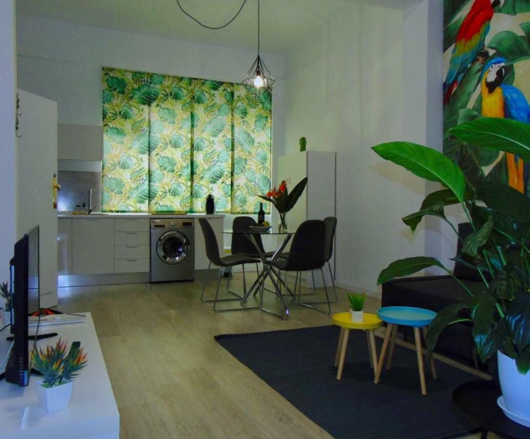 Casa Papagayo Santa Cruz de Tenerife