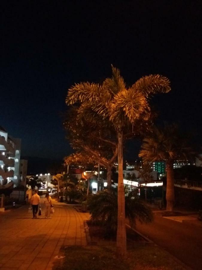 Apartment Geranios *