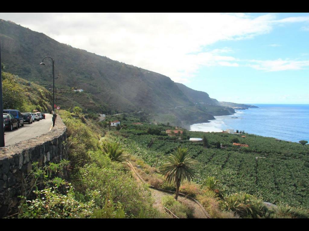 In Protected Space In Front Of The Sea