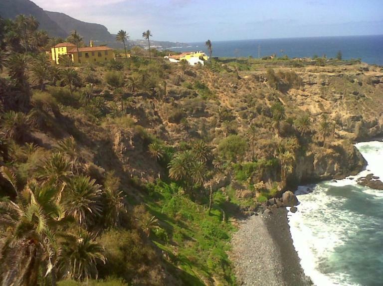 In Protected Space In Front Of The Sea Los Realejos