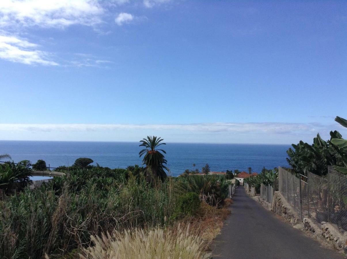 In Protected Space In Front Of The Sea Los Realejos