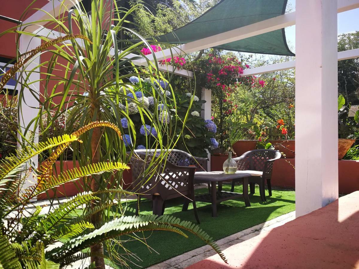 Jardines De Hortensia - Vacation Tenerife *