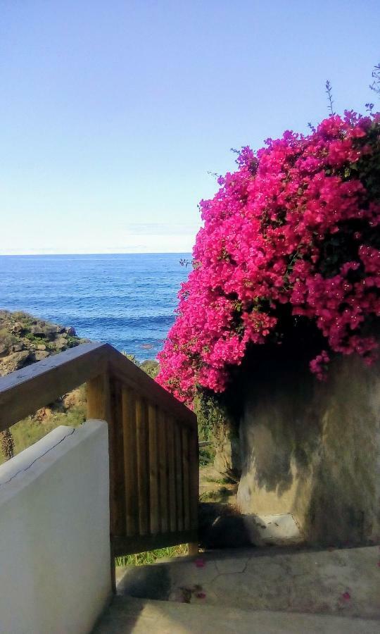 La Pardela Oceanfront Appartement Los Realejos