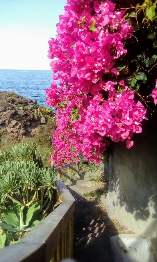 La Pardela Oceanfront Appartement *