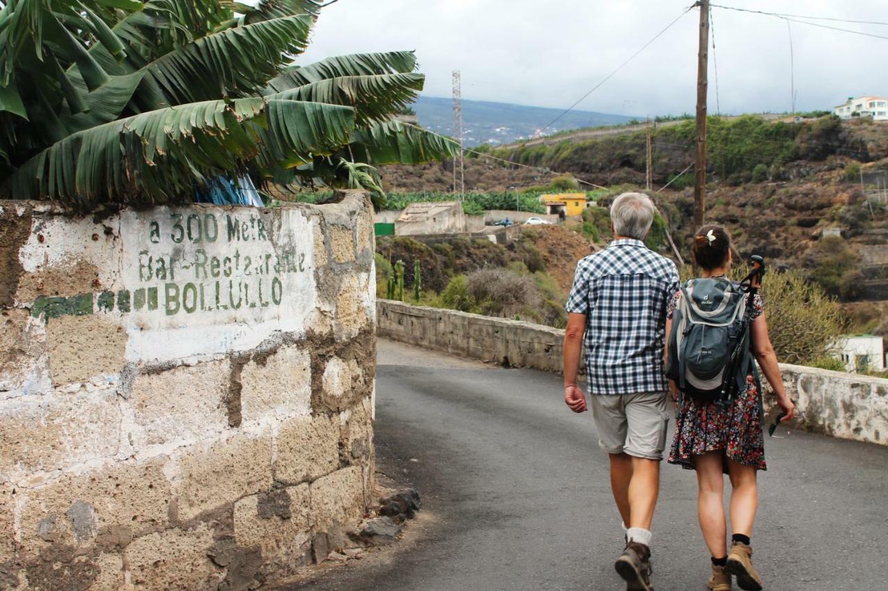 Сasa de vacaciones La Plantación _agroturismo