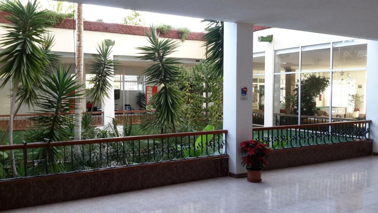 Apartamento Lovely 1-bedroom With A Big Terrace, Americas, Tenerife Arona (Tenerife)