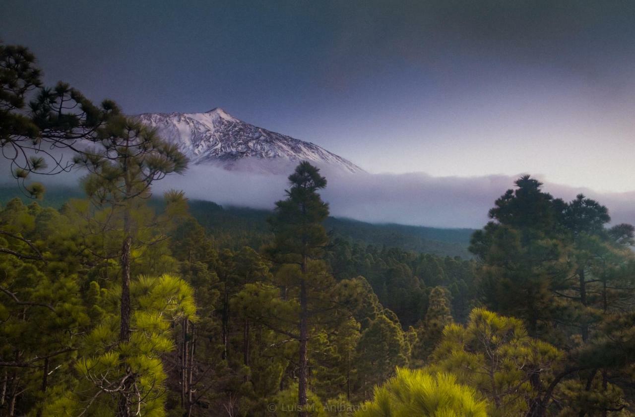 Estudio Rural - Nature & Relax Apartment La Orotava