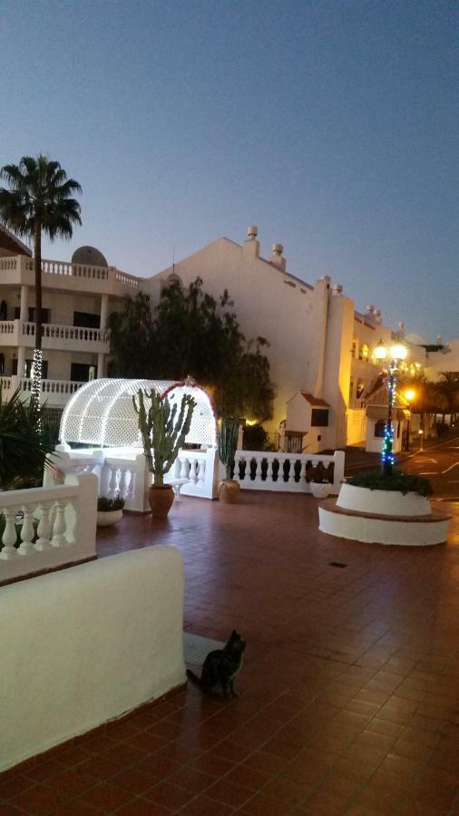 Charming Ocean View Heated Pool * Los Cristianos (Tenerife)