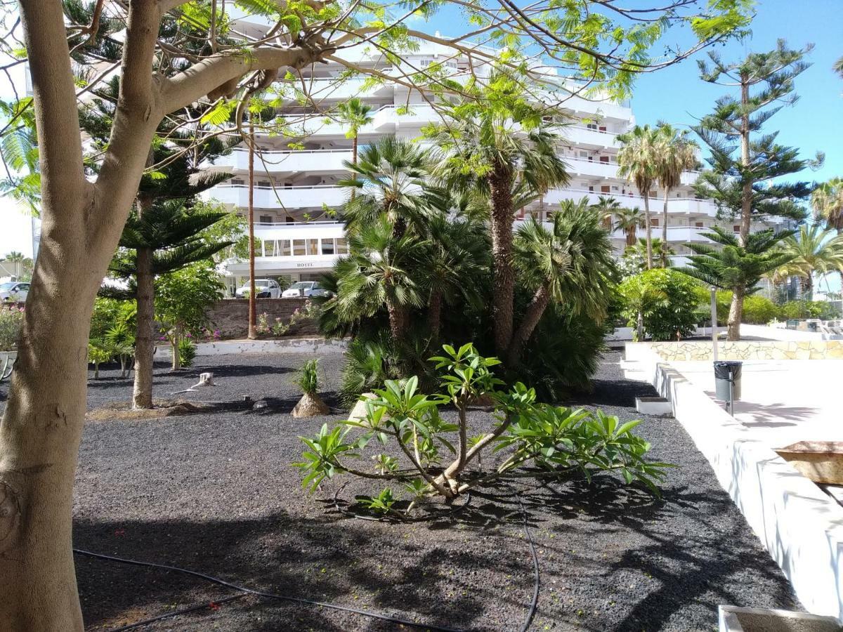 Apartment Vina Del Mar *