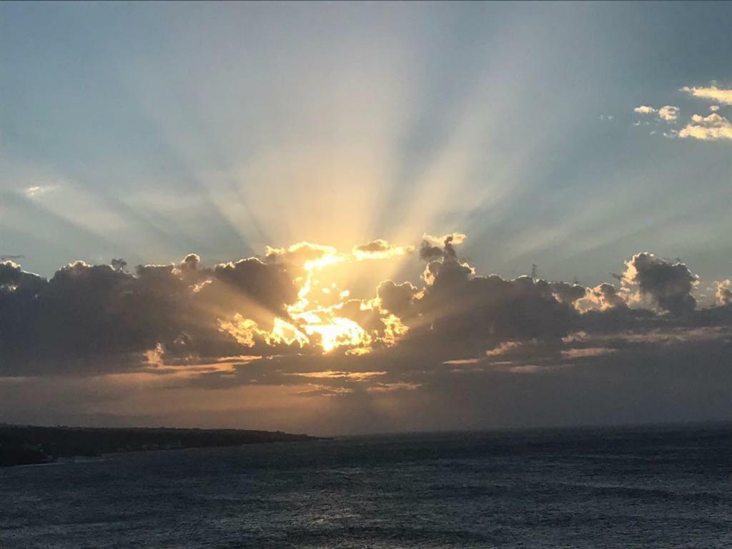 Punta Mar * Punta Del Hidalgo