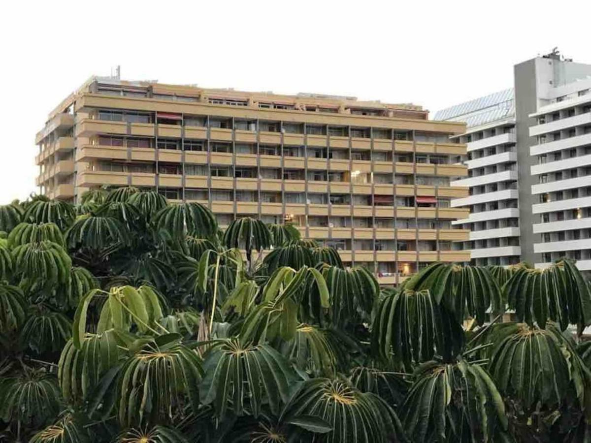 610 Con Terraza Martianez *
