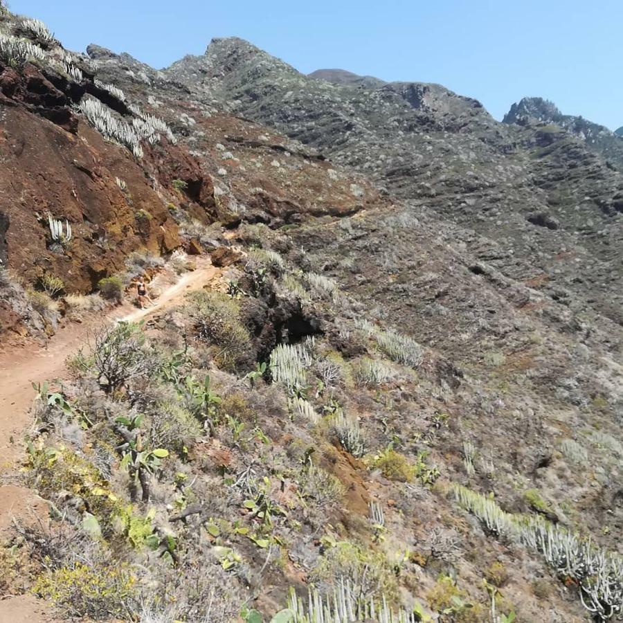 Tenerife Homestay *