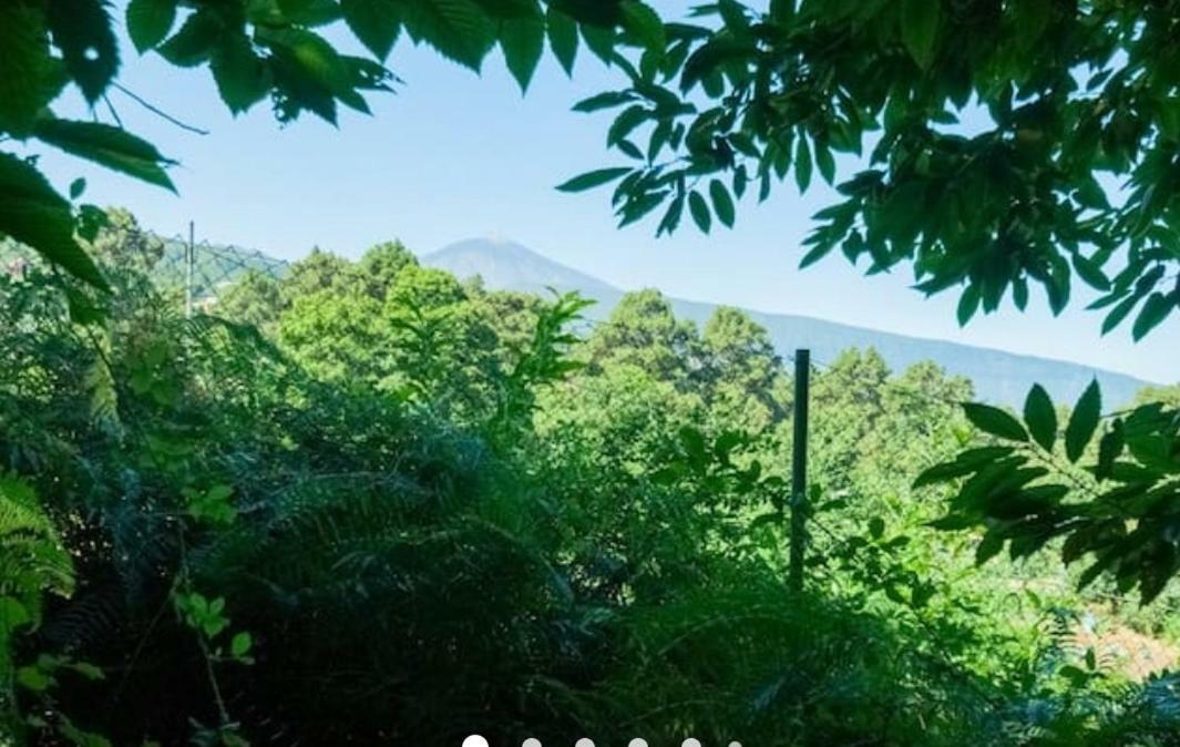 La Casita Сasa de vacaciones *