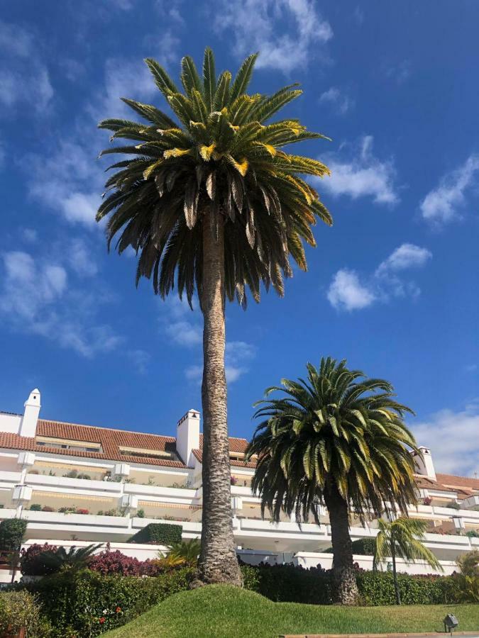 Apartamento Apartement Tajinaste Puerto de la Cruz (Tenerife)