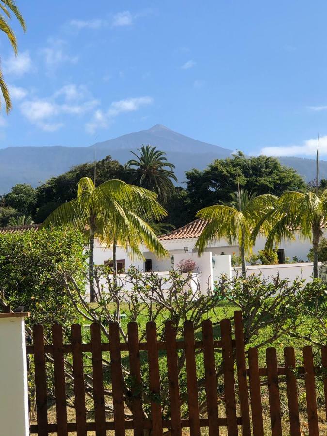 Apartement Tajinaste Appartement Puerto de la Cruz (Tenerife)