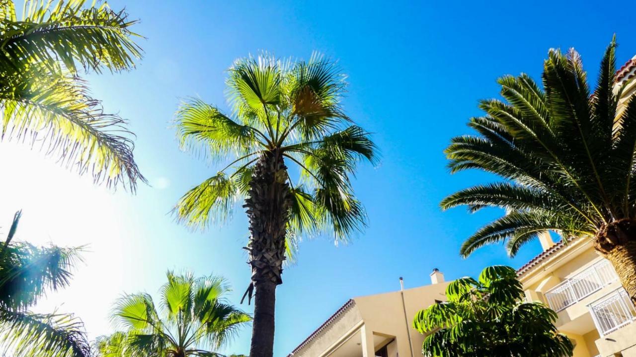 Appartement Las Americas Front Line Ocean *