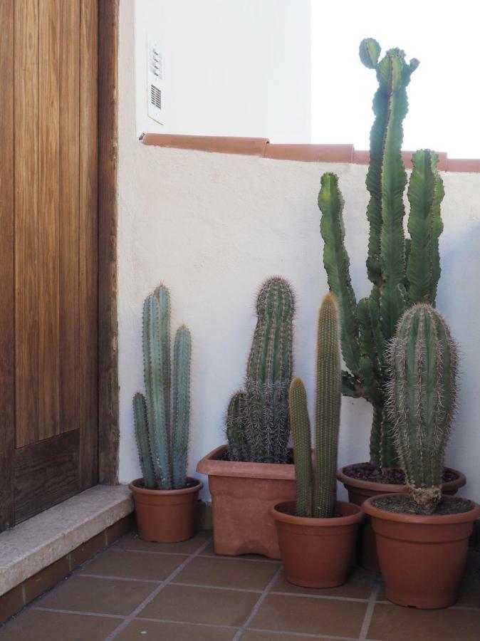 Appartement Casa Alejandro Vistas *