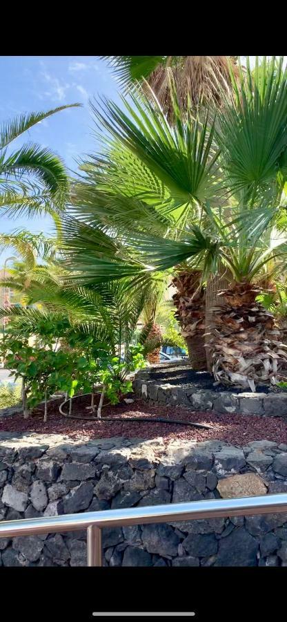 138 Los Angeles, Los Cristianos Close To The Ocean Appartement Los Cristianos (Tenerife)