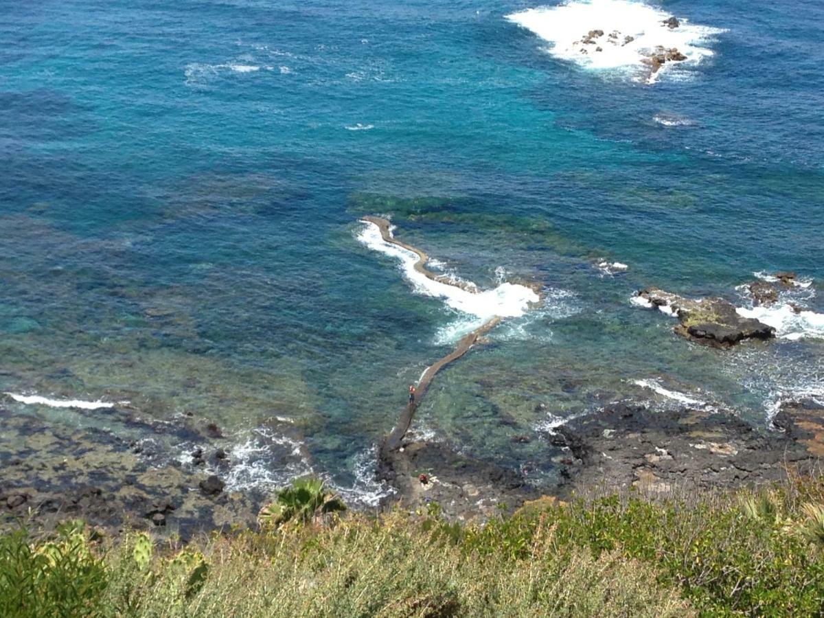 Finca El Apio Сasa de vacaciones La Laguna (Tenerife)
