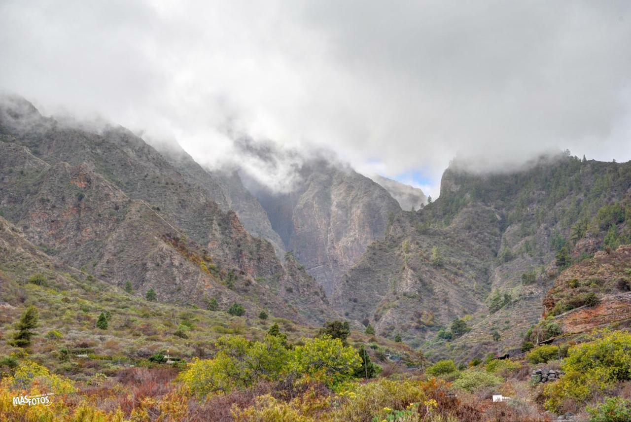 Naturaleza Viva El Socorro