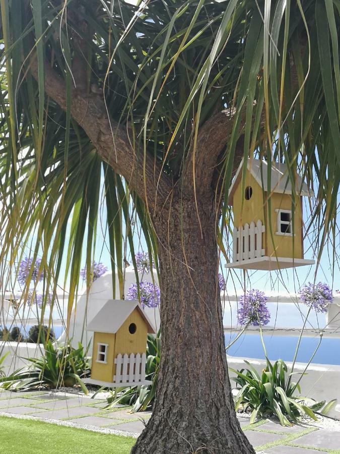 Casa Adayeim 1 Hébergement de vacances