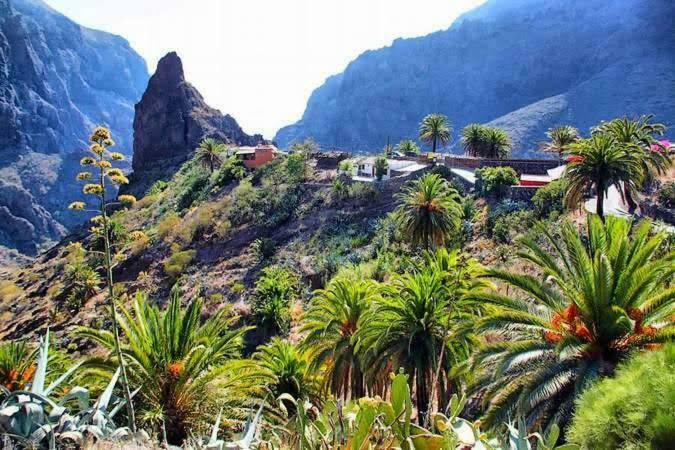 Buenavistera *