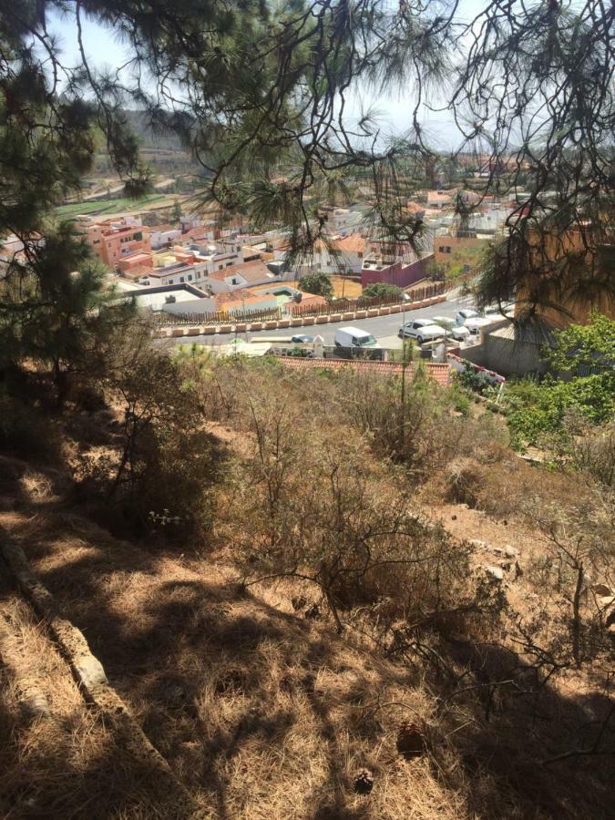 El Mirador *