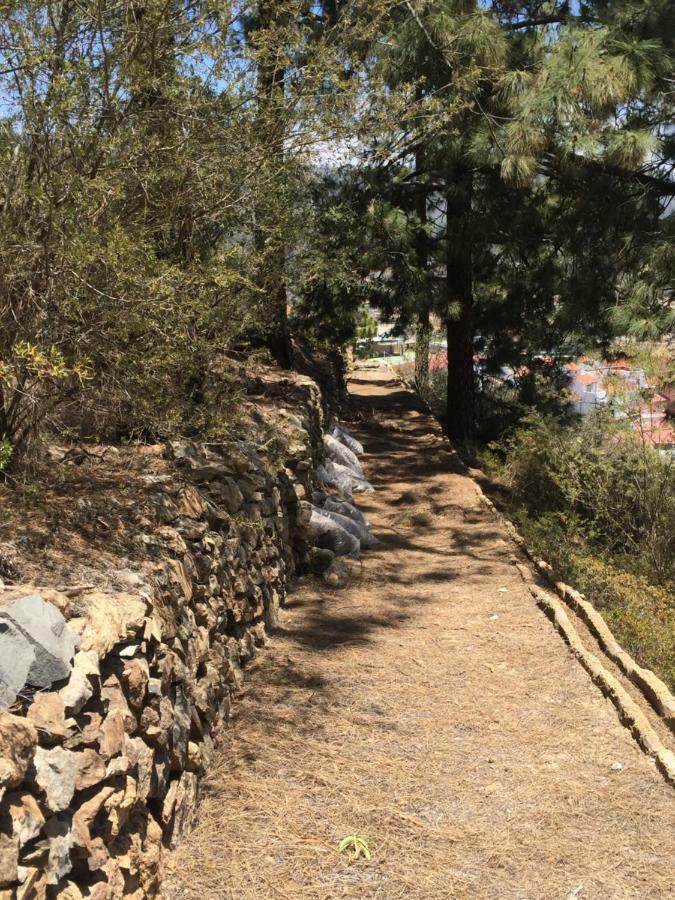 El Mirador Vilaflor