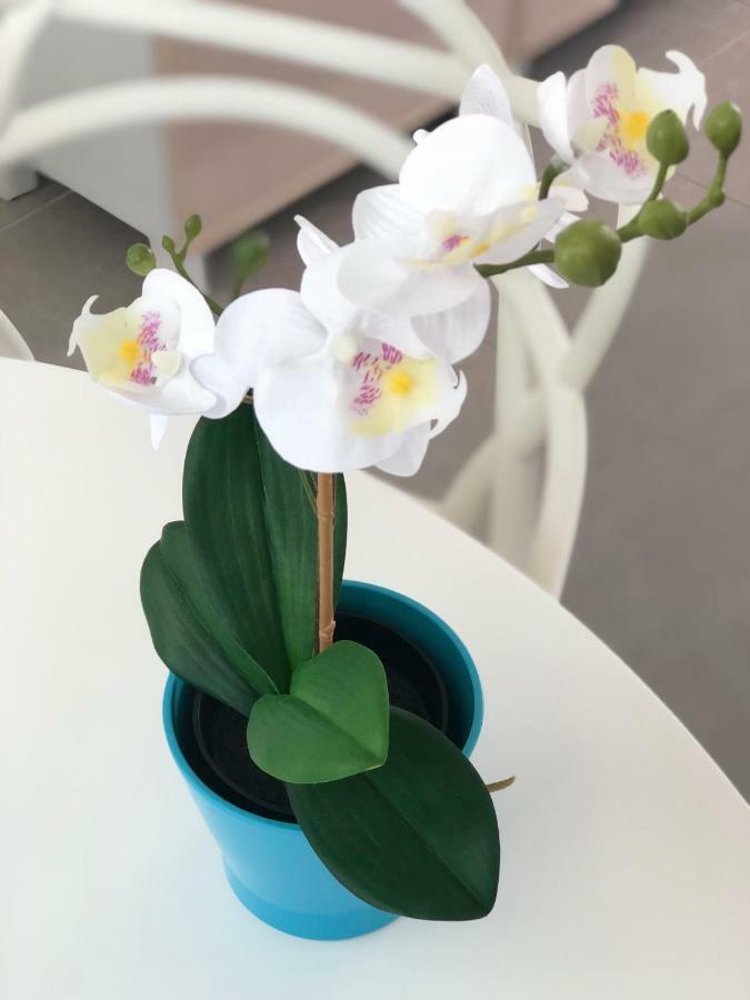 Apartment Luxury Beachfront Penthouse El Medano (Tenerife)