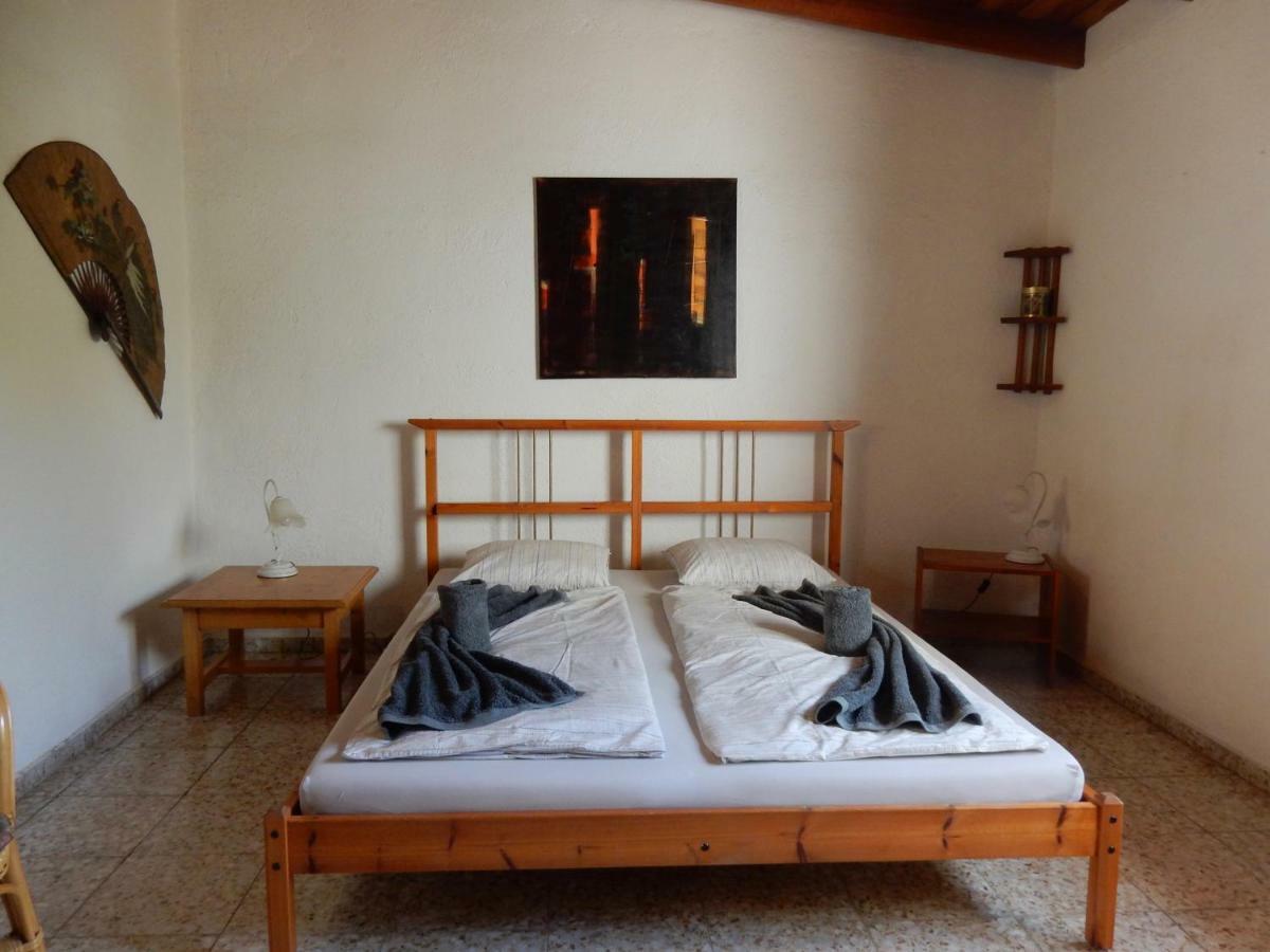 Florida San Miguel de Abona