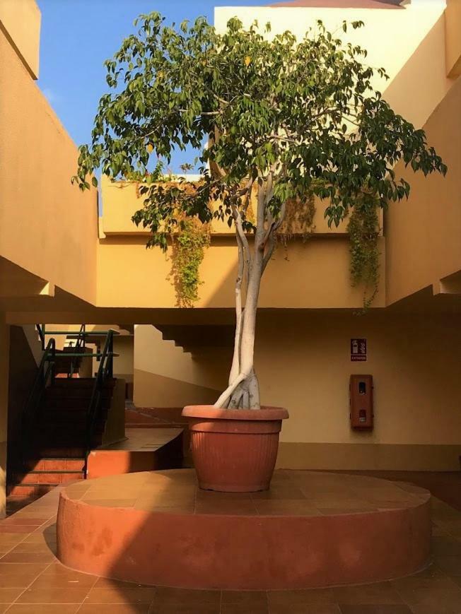 Playa De Fañabé Mareverde Appartement