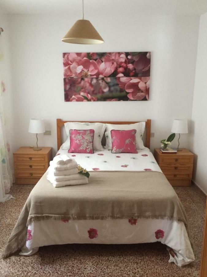 Playa San Marcos Appartement *