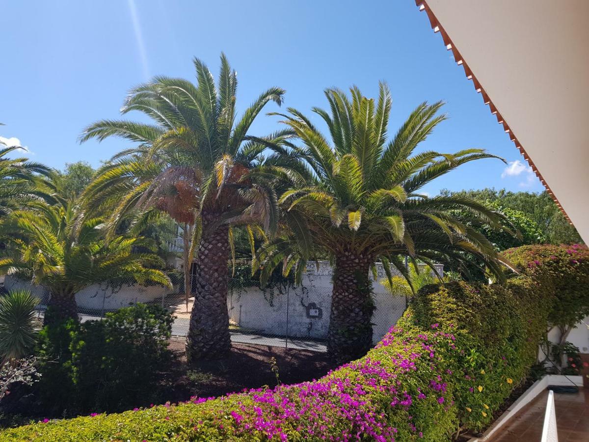 Appartement Larnia De Tenerife *