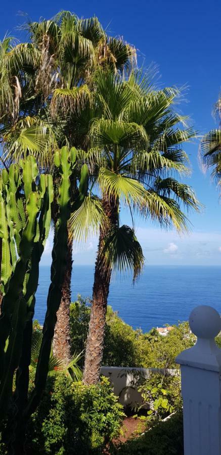 Larnia De Tenerife Appartement
