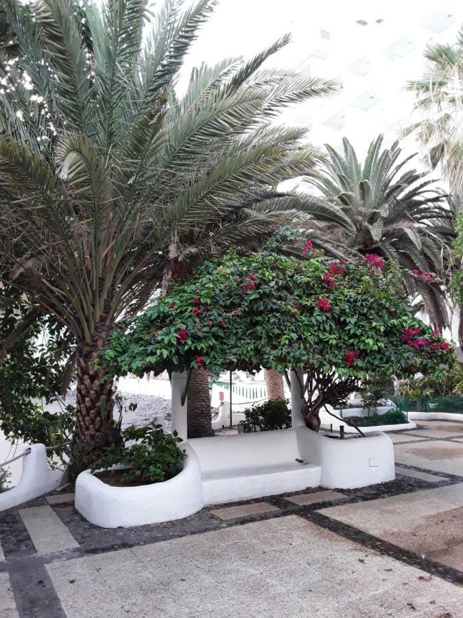 Playa Chica Las Gaviotas Appartement