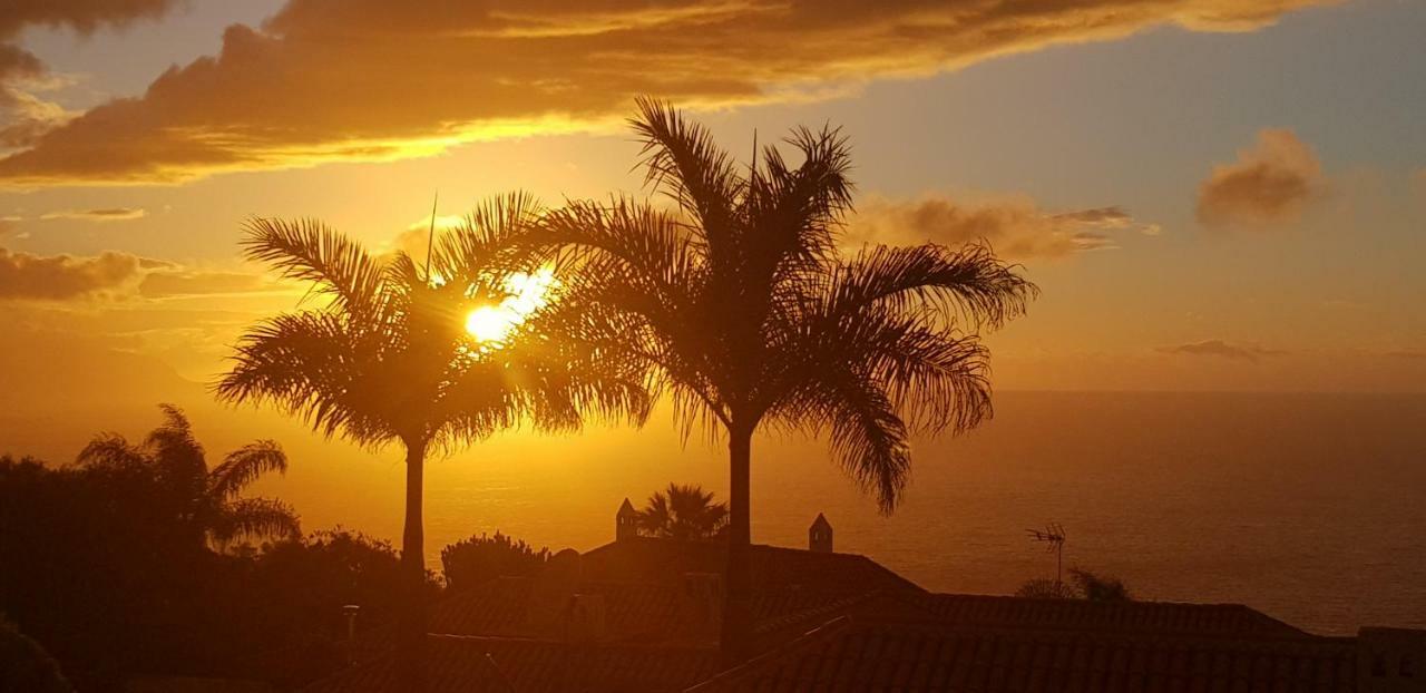 Larnia De Tenerife El Sauzal