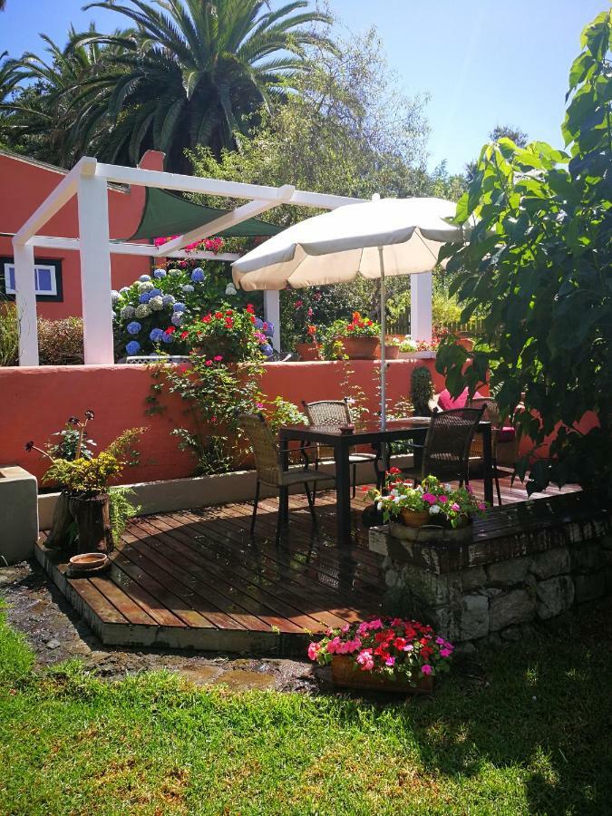 Jardines De Hortensia - Vacation Tenerife Hébergement de vacances *